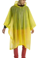 1000317A.png