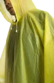 1000317D.png
