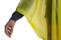 1000317F.png