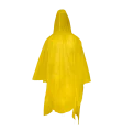 1000317G.png