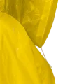 1000317I.png