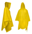 1000317K.png