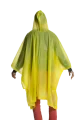 1000317C.png