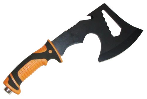 1000169AAAA.png