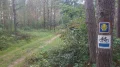 IMGP5431.JPG
