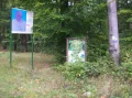 za Czarnoborem.JPG