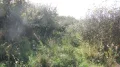 IMG_1067.JPG