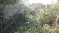 IMG_1069.JPG