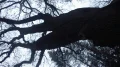 IMGP2651.JPG