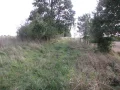 IMG_1152.JPG