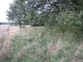 IMG_1153.JPG
