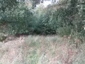 IMG_1154.JPG
