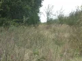 IMG_1156.JPG