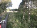 IMG_1158.JPG