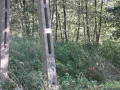 IMG_1159.JPG