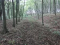 IMG_1160.JPG