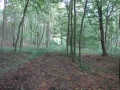 IMG_1161.JPG