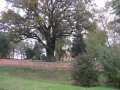IMG_1425.JPG