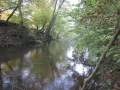 IMG_1467.JPG