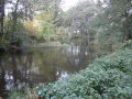 IMG_1470.JPG