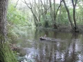 IMG_1477.JPG