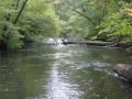 IMG_1487.JPG