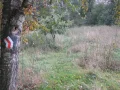 IMG_1492.JPG