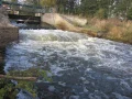 IMG_1503.JPG
