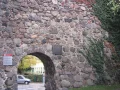 IMG_1537.JPG