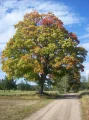 100_7178.JPG