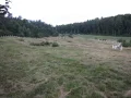 wzgorzewisielcow.JPG