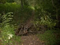 IMG_0040.JPG
