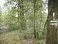 IMG_0046.JPG