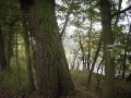 IMG_0047.JPG