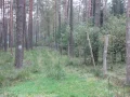 IMG_5910.JPG