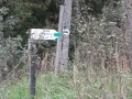 IMG_5925.JPG
