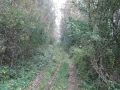IMG_5927.JPG
