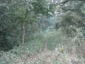 IMG_5929.JPG