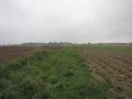 IMG_5932.JPG