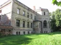 Drezewo Palac.JPG