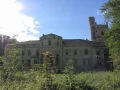 Drezewo Palac5.JPG
