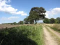 Gostyń - Dreżewo.JPG