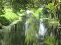 IMG_5108.JPG