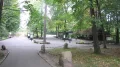 Gora chelmska - krzyzanka (2).JPG