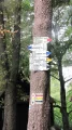 Góra chełmska (1).JPG