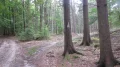 IMG_8923.JPG