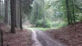 IMG_8924.JPG