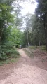 Wzniesienia na szlaku (3).JPG