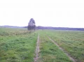łaki_przed_manowem.JPG