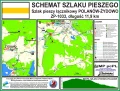 zoltylacznikowypolanow-zydowo.JPG
